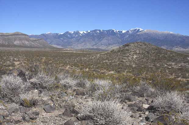 Three Rivers Petroglyph Site