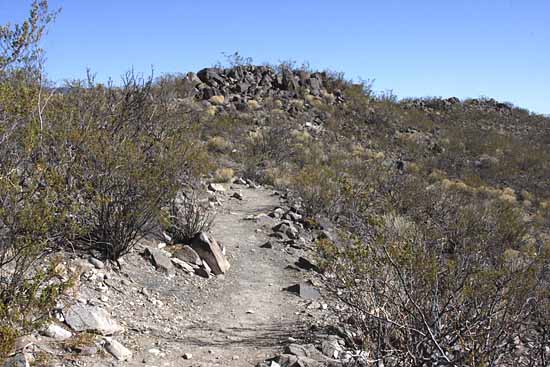 Three Rivers Petroglyph Site