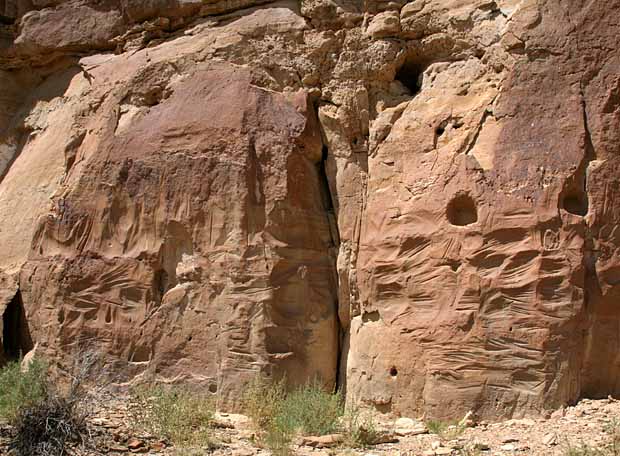 Petroglyph Trail