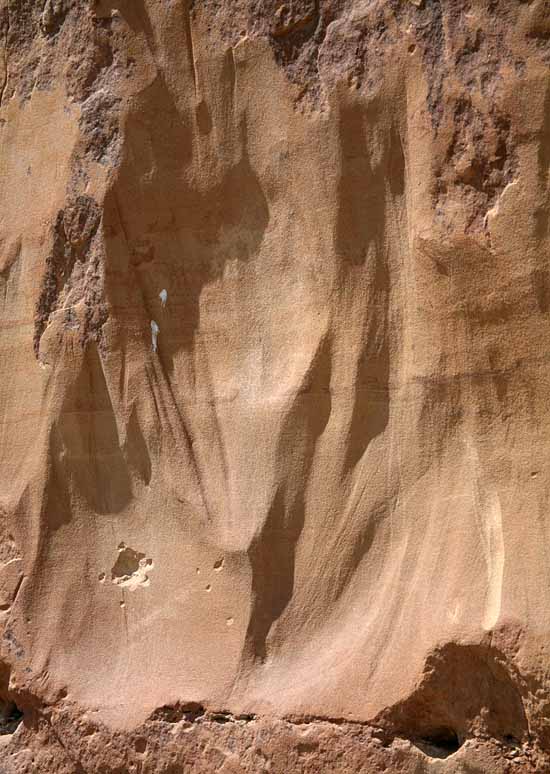 Petroglyph Trail