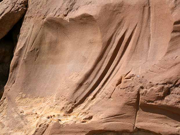 Petroglyph Trail