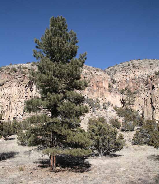 Bandelier National Monument