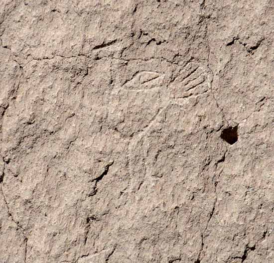 Bandelier National Monument