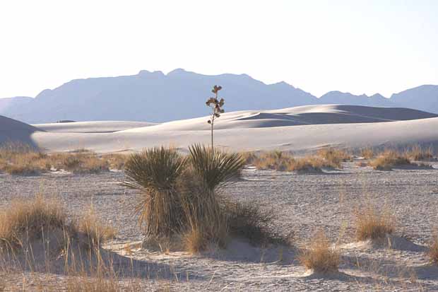 White Sands National Monument