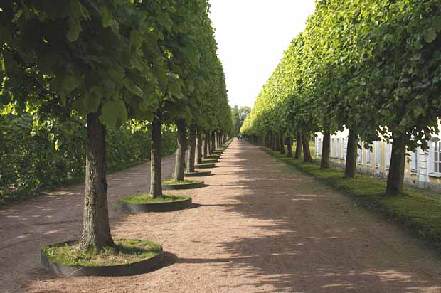 Peterhof Palace