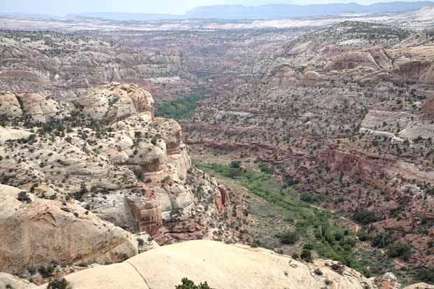 Calf Creek Trail9