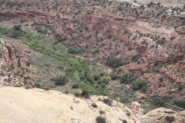 Calf Creek Trail9