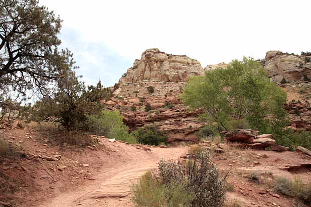 Calf Creek Trail9