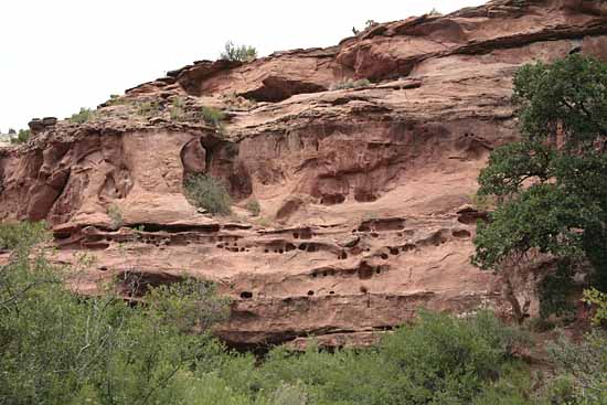 Calf Creek Trail9