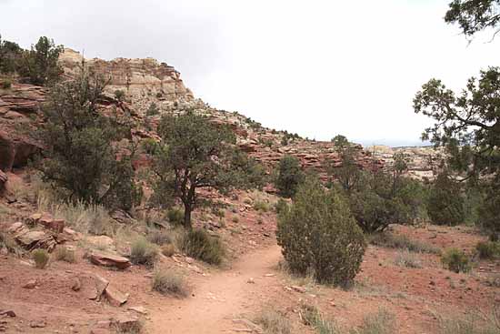 Calf Creek Trail9