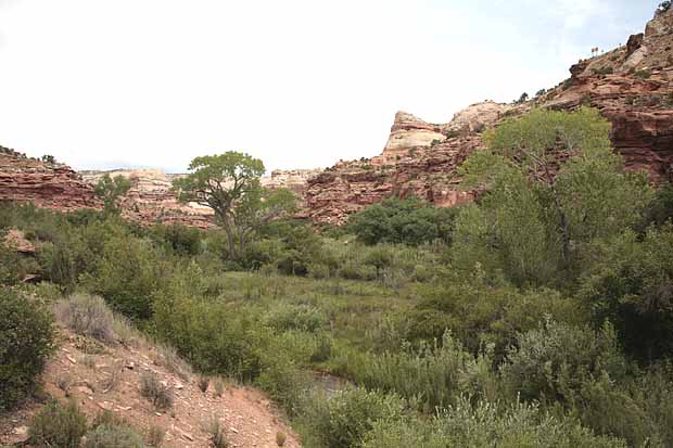 Calf Creek Trail9