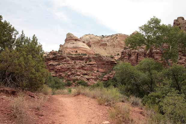 Calf Creek Trail9