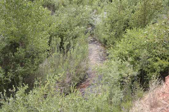 Calf Creek Trail9