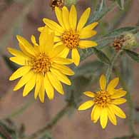 Calf Creek Trail9