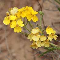 Calf Creek Trail9