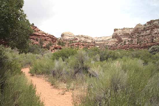 Calf Creek Trail9