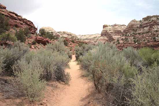 Calf Creek Trail9