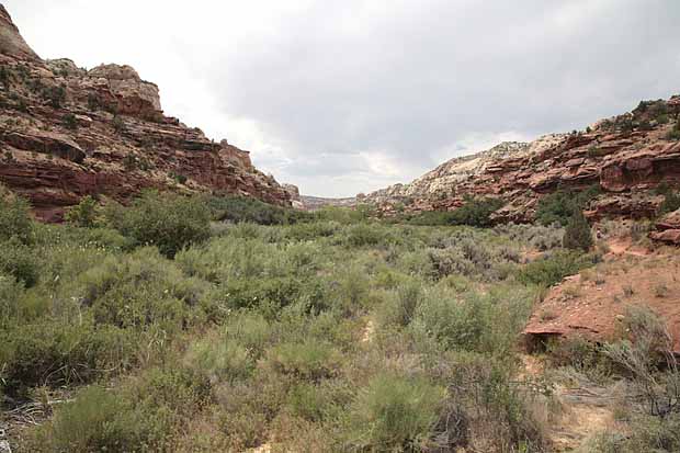 Calf Creek Trail9