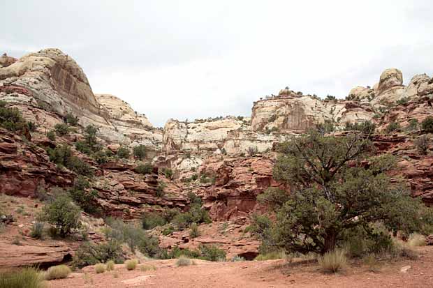 Calf Creek Trail9