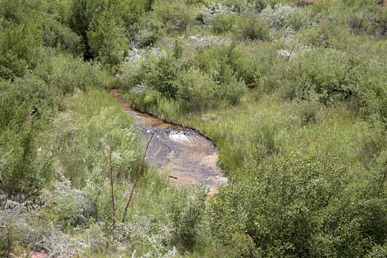 Calf Creek Trail9