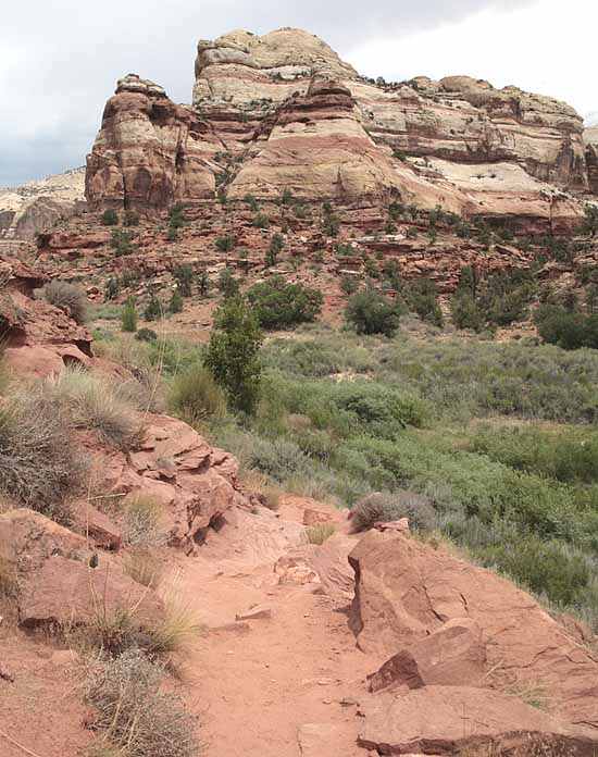 Calf Creek Trail9