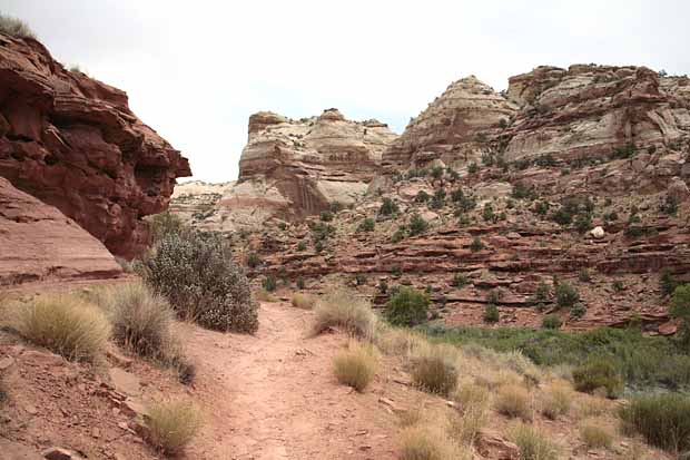 Calf Creek Trail9