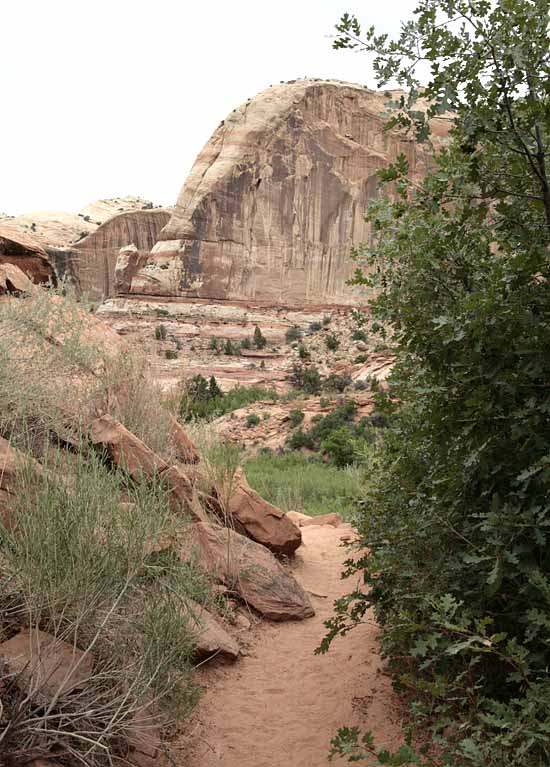 Calf Creek Trail9