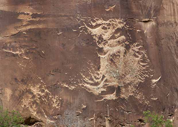 Calf Creek Trail9