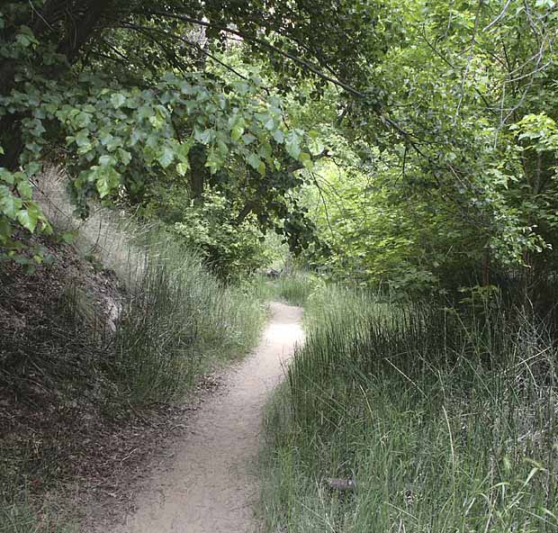 Calf Creek Trail9