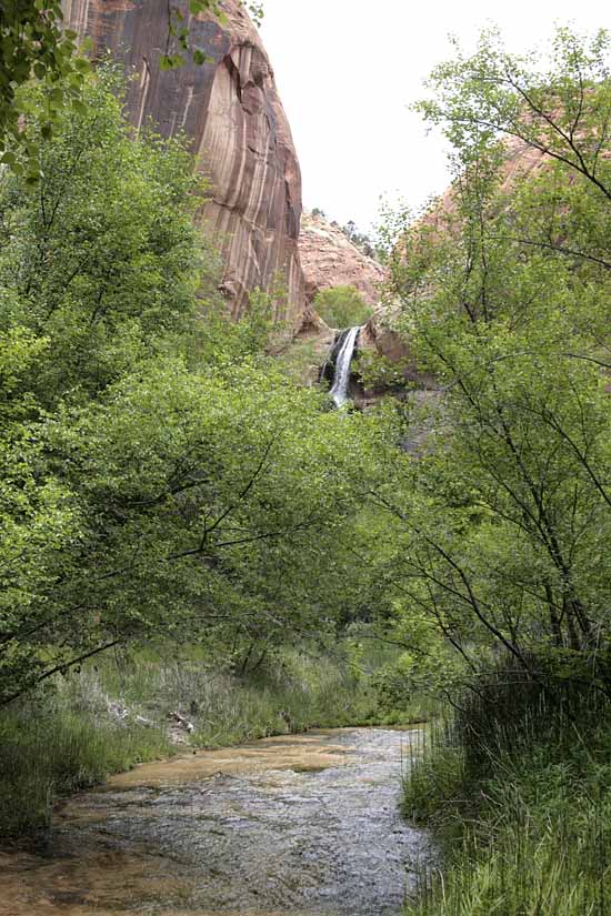 Calf Creek Trail9