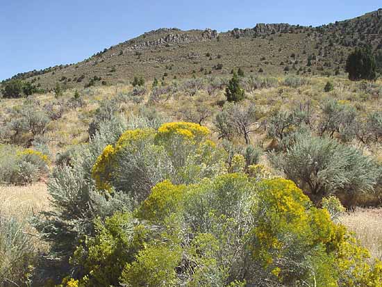 Parowan Gap Petroglyphs