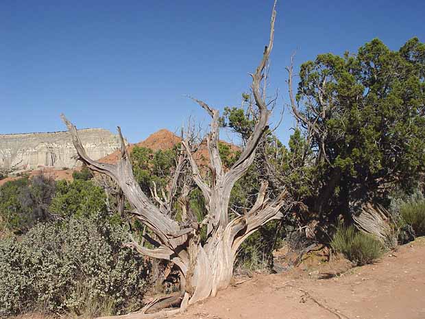 Kodachrome Canyon State Park