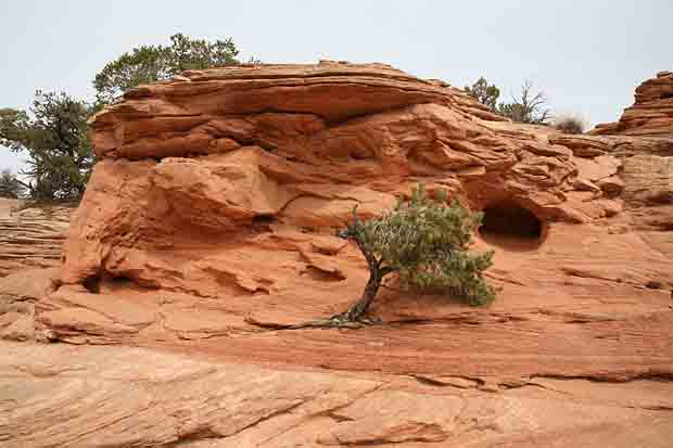 Mesa Arch