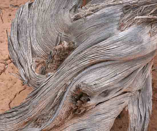 Mesa Arch