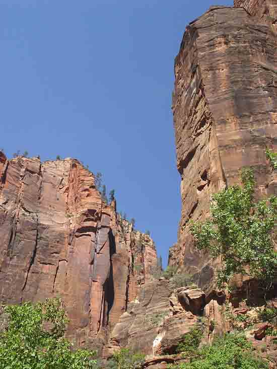 Zion National Park