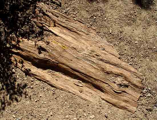 Escalante State Park