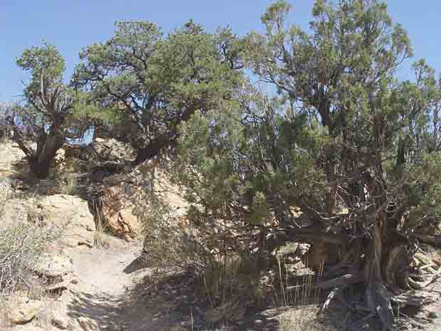 Escalante State Park