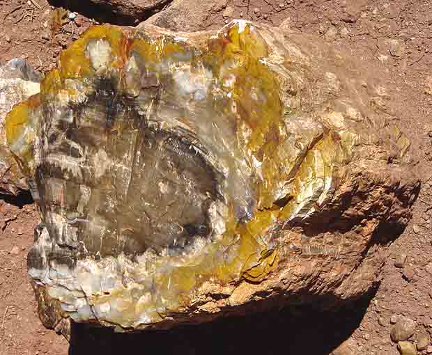 Escalante State Park