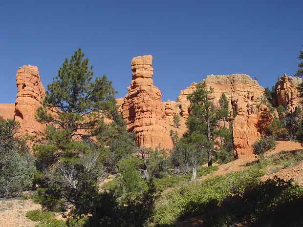 Red Canyon