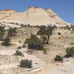 Utah Highway 12 - Through Escalante National Monument