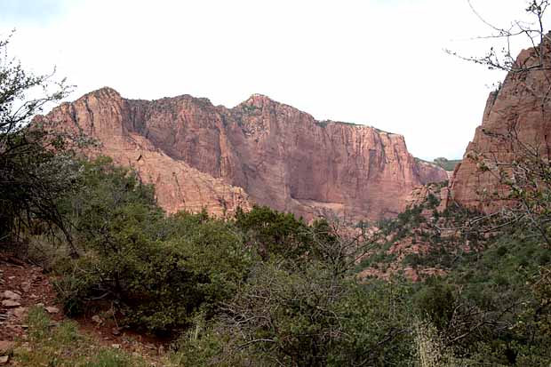 Kolob Arch