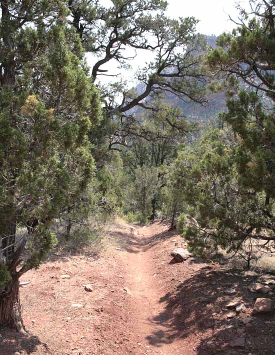 Kolob Arch