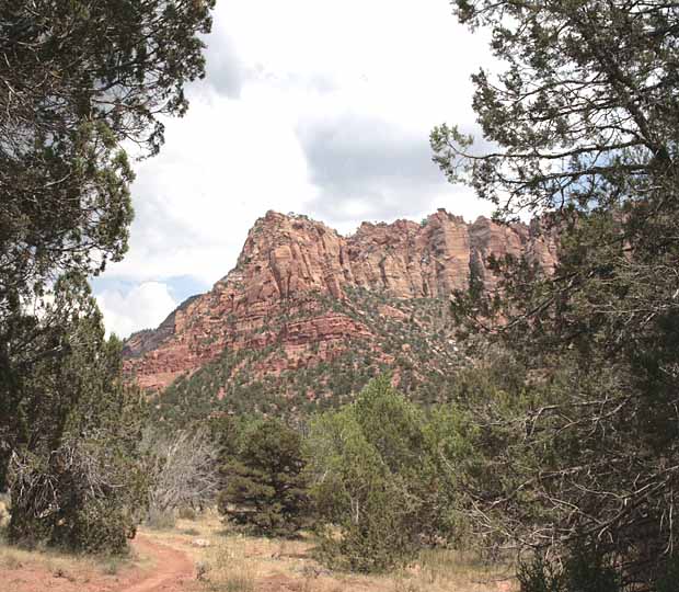 Kolob Arch