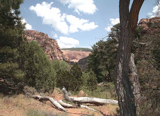 Kolob Arch