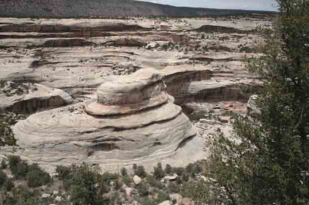 Natural Bridges National Monument