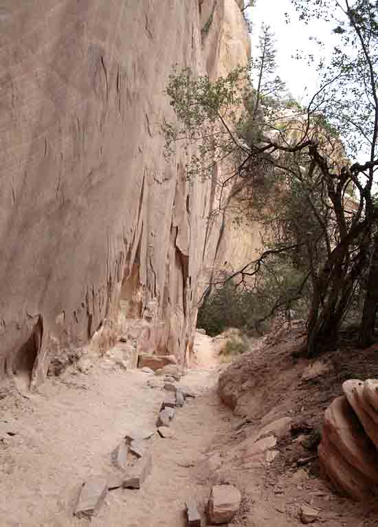 Natural Bridges National Monument