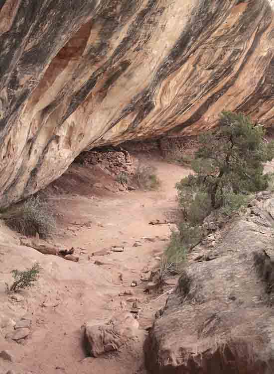 Natural Bridges National Monument