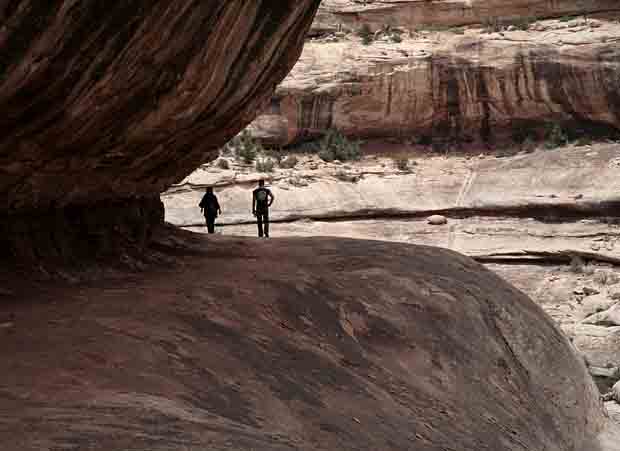 Natural Bridges National Monument