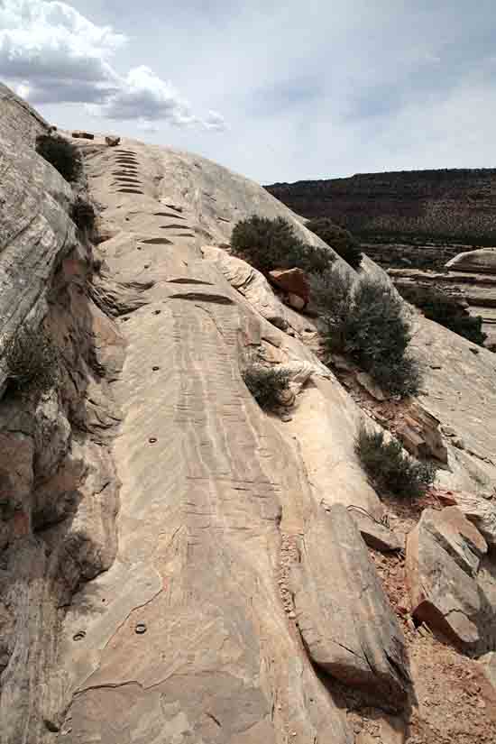 Natural Bridges National Monument