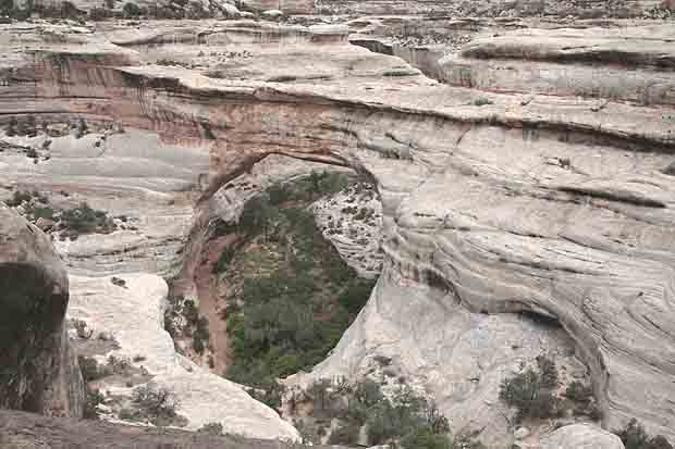 Natural Bridges National Monument